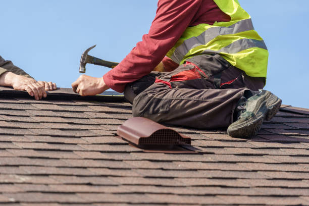 Best Residential Roof Replacement  in Ionia, MI