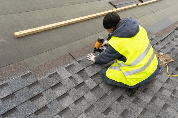 Best Local Roofing Companies  in Ionia, MI