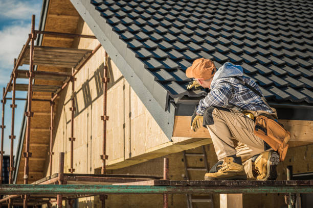 Best Roof Gutter Cleaning  in Ionia, MI