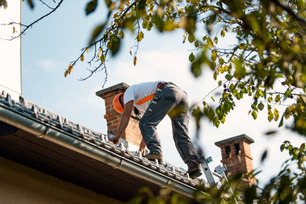 Best New Roof Installation  in Ionia, MI