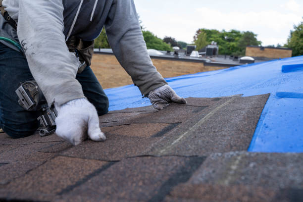 Best Roof Restoration Services  in Ionia, MI