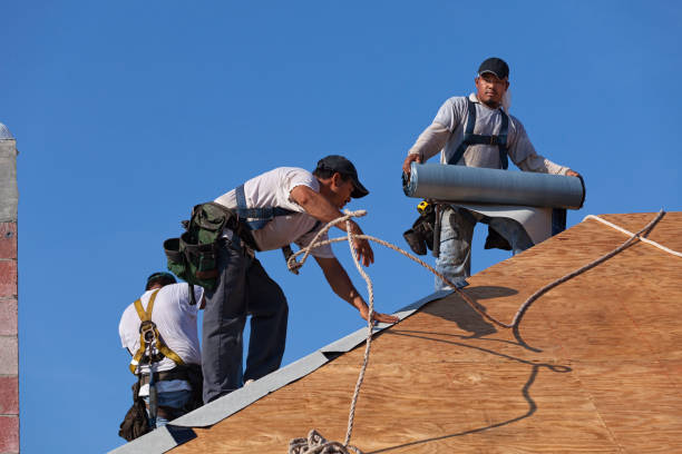 Professional Roofing Contractor in Ionia, MI