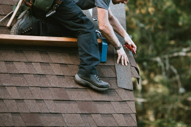Best Roof Waterproofing Services  in Ionia, MI